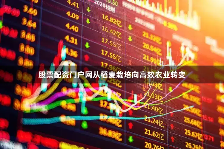 股票配资门户网从稻麦栽培向高效农业转变