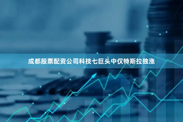 成都股票配资公司科技七巨头中仅特斯拉独涨