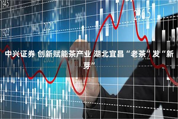中兴证券 创新赋能茶产业 湖北宜昌“老茶”发“新芽”
