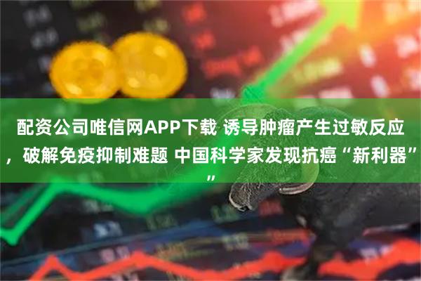 配资公司唯信网APP下载 诱导肿瘤产生过敏反应，破解免疫抑制难题 中国科学家发现抗癌“新利器”
